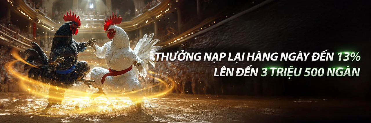 Tin tức Singbet Nhà Cái 2026